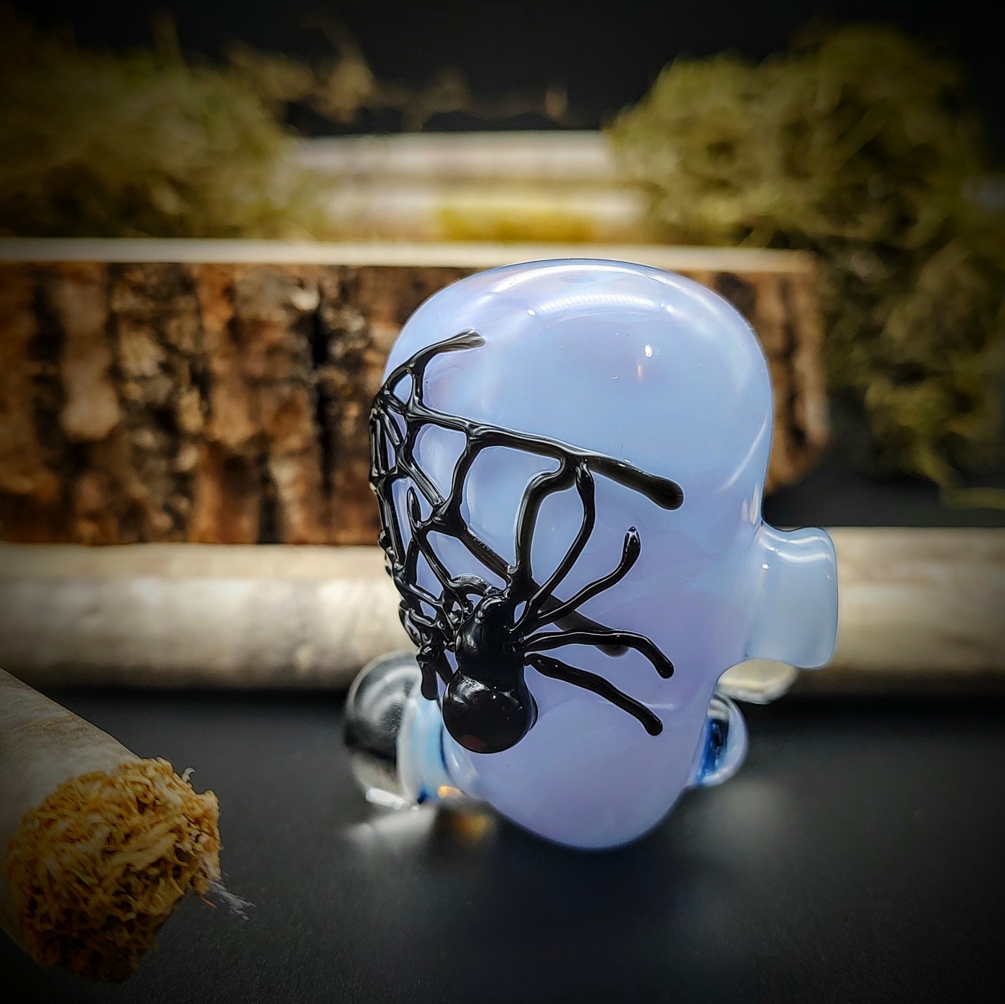 Spider with Web Sherlock (Ready To Ship)