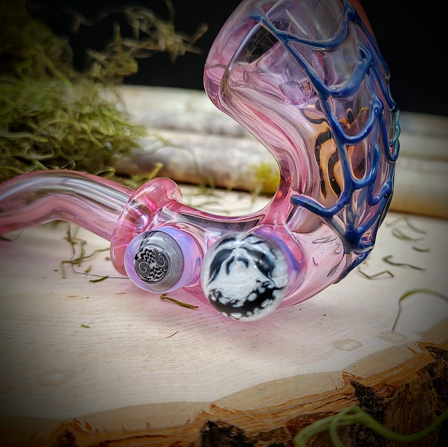 Araña con Web Sherlock (Listo para enviar)