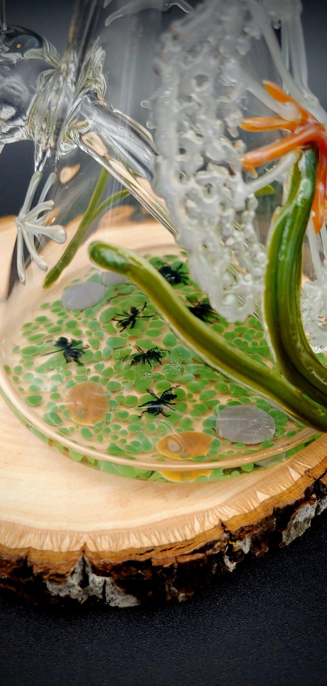 Diente De León Con Hormigas Minitubo