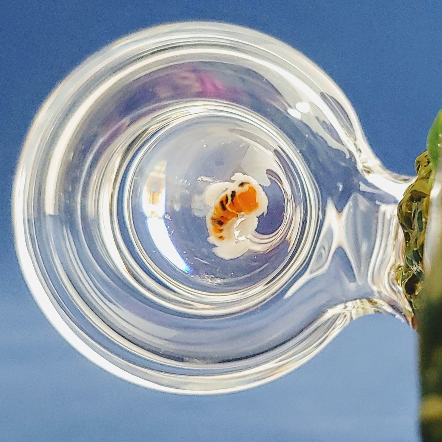 Árbol Bonsái Estanque Koi Minitubo